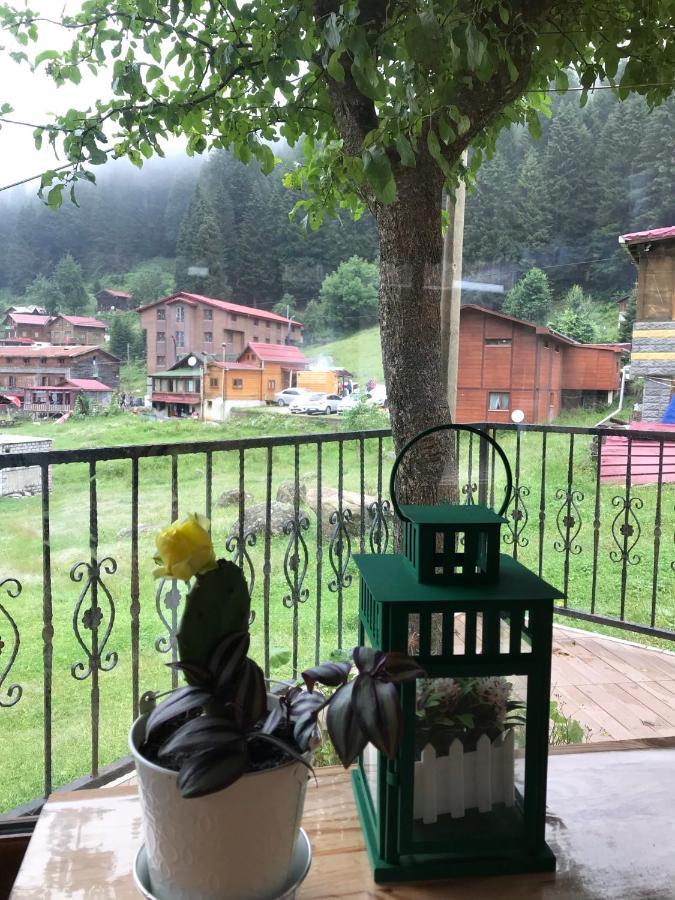 Guesthouse Dolunay Ayder Yaylası Dış mekan fotoğraf