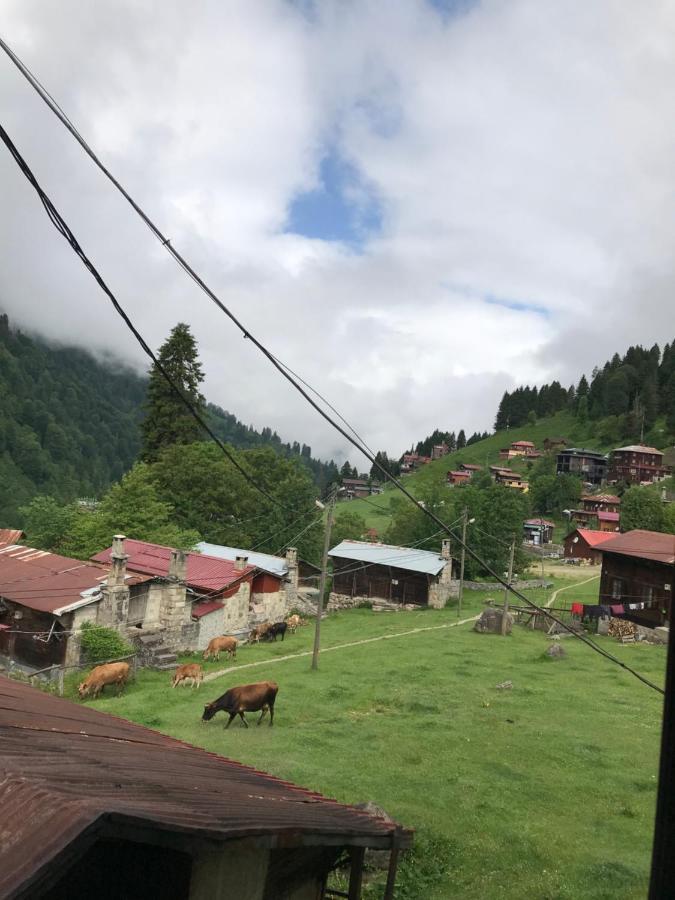 Guesthouse Dolunay Ayder Yaylası Dış mekan fotoğraf