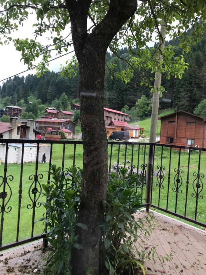 Guesthouse Dolunay Ayder Yaylası Dış mekan fotoğraf