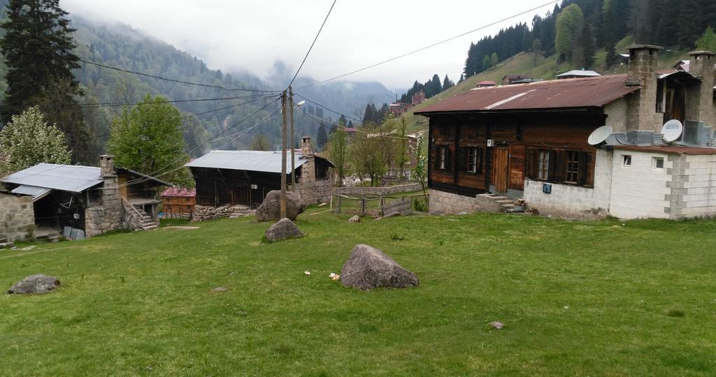 Guesthouse Dolunay Ayder Yaylası Dış mekan fotoğraf